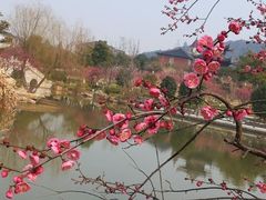 -超山青莲寺