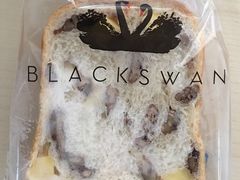 -BLACKSWAN黑天鹅(环球店)