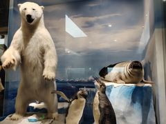 -国家自然博物馆