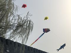 -杨家埠民间艺术大观园