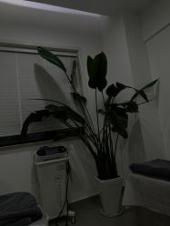 -上海首尔丽格医疗美容医院