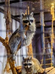 -酷嗒动物文化乐园(cutezoo西溪乐天城店)