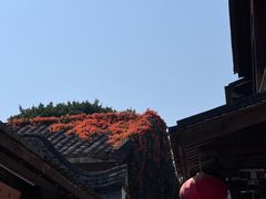 -三坊七巷历史文化街区