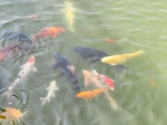 -白马涧龙池景区