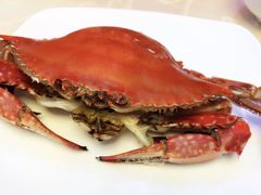 -海岛渔村大酒店(云霄路店)