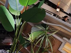 -湊湊火锅·茶憩(皇姑万象汇店)