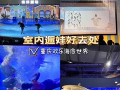 -重庆欢乐海底世界