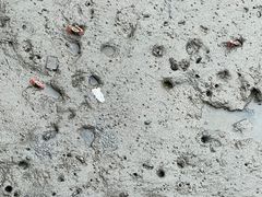 -北海金海湾红树林生态旅游区