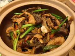 -谷田稻香·砂锅菜(西乡天虹店)