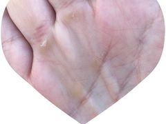-W Fitness 威尔仕健身(北京英皇集团中心店)