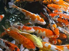 -海合安青岛极地海洋公园