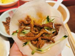 -丝恋丝娃娃(逸天城国贸店)