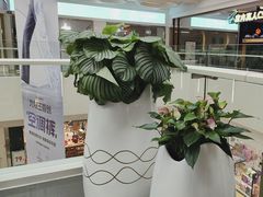 -苏宁广场·城市奥特莱斯(天府立交店)