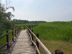 -西青郊野公园