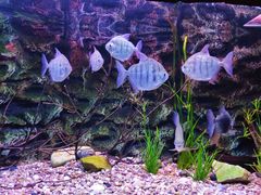 -上海海洋水族馆