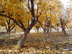 景点-敦煌莫高窟