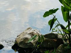 -西湖公园(鼓楼区)
