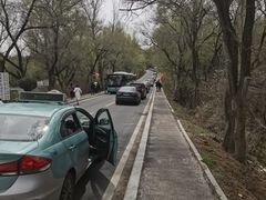 -帽儿山国家森林公园