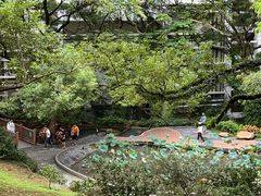 -香港大学