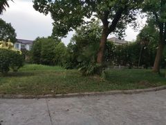 -金孔雀温泉旅游度假村