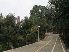 -大雁山风景区