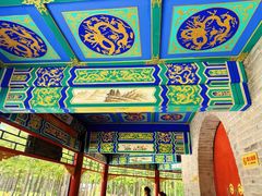 -塞罕坝国家级自然保护区