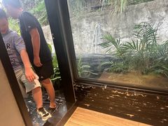 -恬阿姨庭院餐厅·生日宴