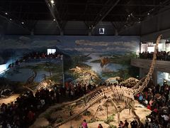 -自贡恐龙博物馆