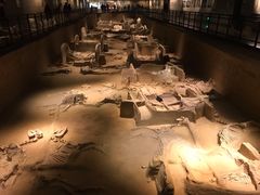 -洛阳周王城天子驾六博物馆