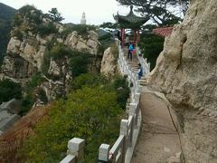 -大芦花风景区