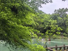 -灵栖洞天