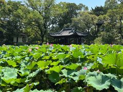 -上海醉白池公园