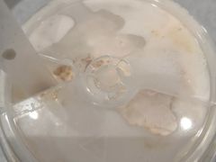 喜海盐柚子无糖气泡水-喜茶(深圳福田星河COCO Park店)