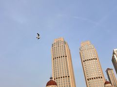 -百丽宫影城(嘉里汇店)