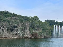 -广州莲花山旅游区