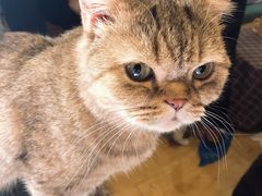 -万小咖.猫咖(中山路天虹店)