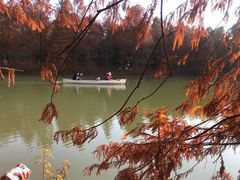 -上海海湾国家森林公园