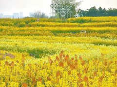 -三圣花乡旅游区