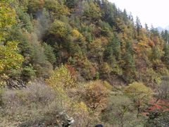 -黑河国家森林公园