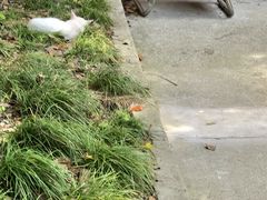 -虹迎轩·中餐厅(虹桥迎宾馆店)