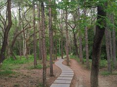 -长春市南湖公园