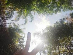 -广州从化都喜泰丽度假酒店温泉
