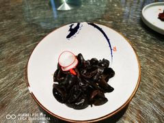 关东木耳-雍沪里·沪湘融合菜( 康桥店)