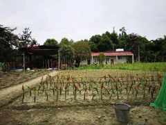 -洪湖家庭农场·团建·露营·会议