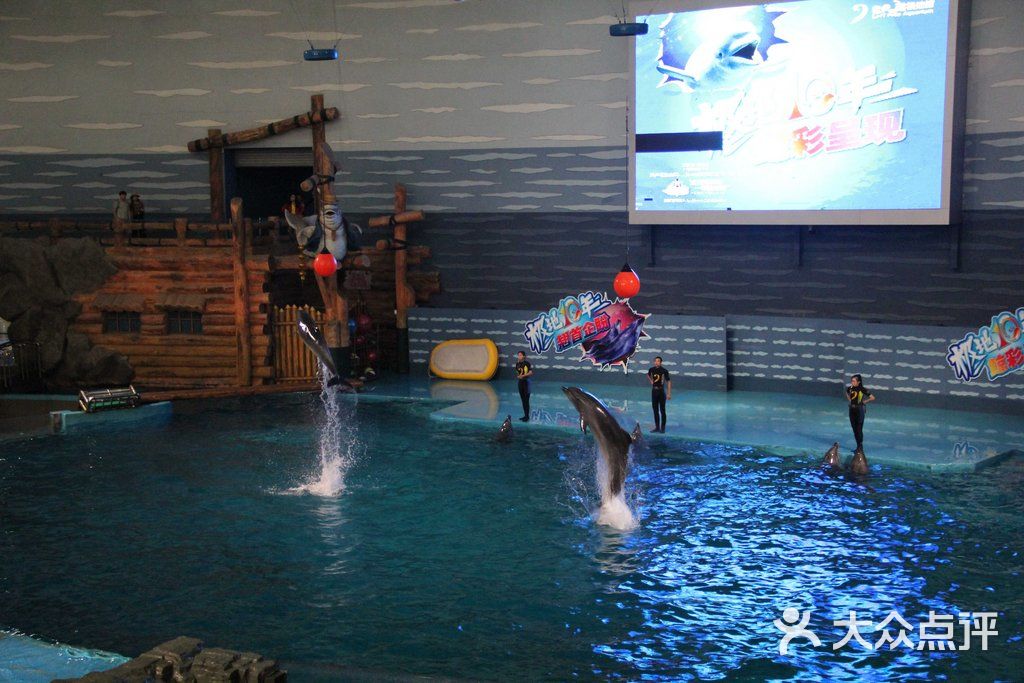 大連老虎灘海洋公園圖片-北京海洋館-大眾點評網