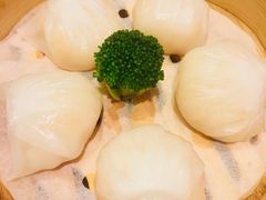 -陶陶居海鲜酒家(新马路店)