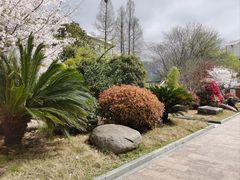 -浙江省杭州高级中学(贡院校区)