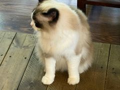 -吃货私房菜(丽江束河古镇店)