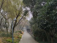 -西湖风景区-江洋畈生态公园
