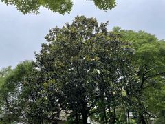 -安源路矿工人运动纪念馆